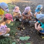 Еж в детском саду.